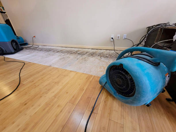 Professional Structural Drying technician working in Rockford, MI